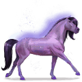 cavallo dell'arcobaleno brave purple