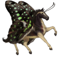 cavallo da corsa cavallo arabo castano