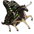 unicorno da corsa castano