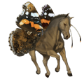 cavallo da corsa cremello