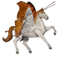 unicorno da corsa castano