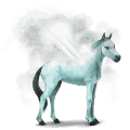 geyser, cavallo d'acqua