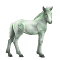 grani  10, cavallo divino