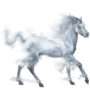 nebbia, cavallo d'acqua