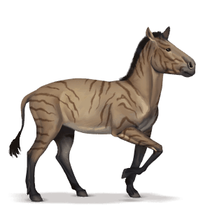 ippario, cavallo preistorico