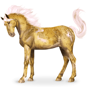 io, cavallo del sistema solare