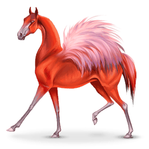 phoenico, cavallo errante volante