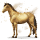 gypsum, cavallo di gemma