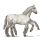 sleipnir bianco