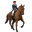 dressage_v1417164050.png