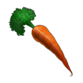 carota