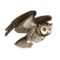 compagnon-hibou_v1549988452.png