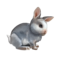 compagnon-lapin_v1549988514.png