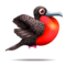 compagnon-pinata-magnificent-frigate-bird_v1678793231.png