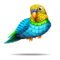 compagnon-pinata-parakeet_v1713961018.png