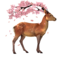 compagnon-shika_v1713961018.png