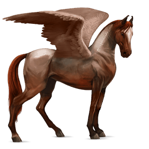 pegaso purosangue inglese cremello