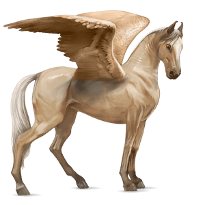 pegaso purosangue inglese baio