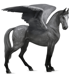 pegaso purosangue inglese grigio chiaro