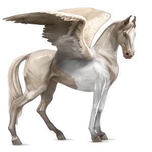 pegaso purosangue inglese baio