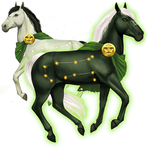gemelli, cavallo divino