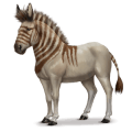 asino idruntino, cavallo preistorico