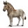 asino idruntino, cavallo preistorico
