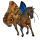 morfo blu, cavallo errante