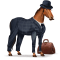 drwatson