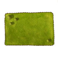 campo medio