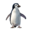 pinguino