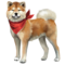 compagnon-akita-inu_v1611824271.png