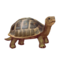 compagnon-tortue_v1549988571.png